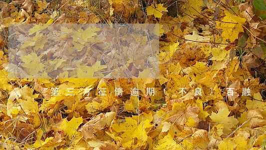 第三方征信逾期(不良)百融