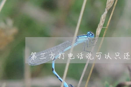 第三方打电话说可以只还本金