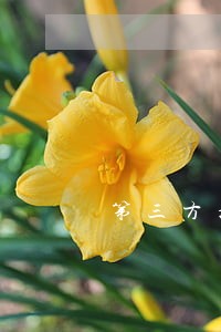 第三方担保逾期律师 第三方担保逾期律师