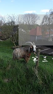 第三方支付结算法规 第三方支付结算法规