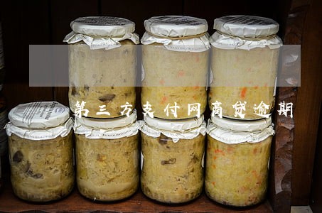 第三方支付网商贷逾期 第三方支付网商贷逾期