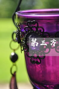第三方机构导致的征信逾期 第三方机构导致的征信逾期