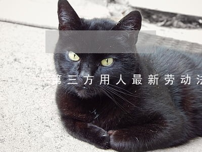 第三方用人最新劳动法 第三方用人最新劳动法