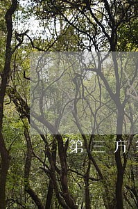 第三方答应只还本金 第三方答应只还本金