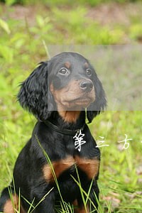 第三方贷款平台逾期征信 第三方贷款平台逾期征信