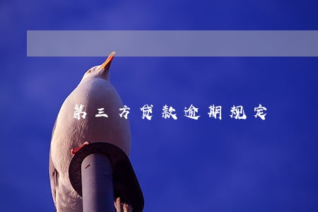 第三方贷款逾期规定 第三方贷款逾期规定