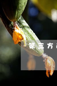 第三方逾期协商到底是怎么弄的呢 第三方逾期协商到底是怎么弄的呢