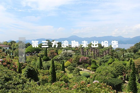 第三方逾期未出报告