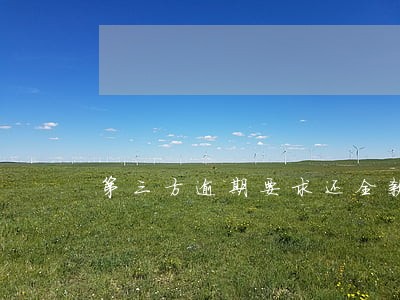 第三方逾期要求还全款可信吗 第三方逾期要求还全款可信吗