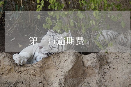 第三方逾期费 第三方逾期费