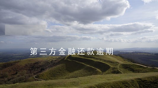 第三方金融还款逾期 第三方金融还款逾期