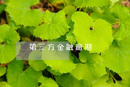 第三方金融逾期 第三方金融逾期