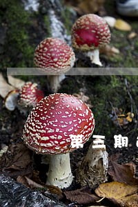 第三期还款算逾期三个月吗 第三期还款算逾期三个月吗