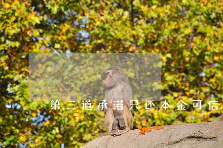 第三道承诺只还本金可信吗