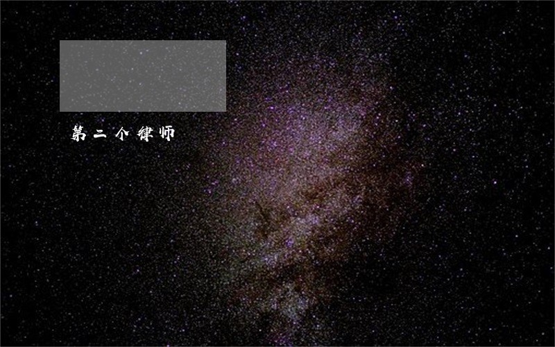 第二个律师 第二个律师