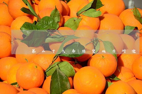 第二十九条借贷双方对逾期利率 第二十九条借贷双方对逾期利率