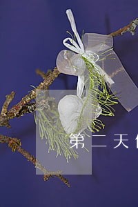 第二天信用卡的逾期就来电话了 第二天信用卡的逾期就来电话了