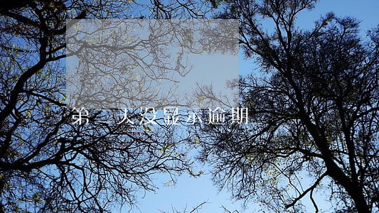 第二天没显示逾期 第二天没显示逾期