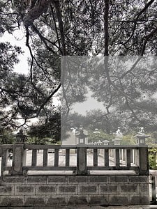 第二天还款收到逾期短信 第二天还款收到逾期短信