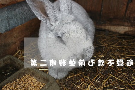 第二期账单前还款不算逾期