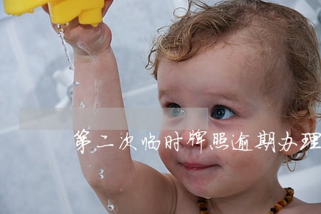 第二次临时牌照逾期办理 第二次临时牌照逾期办理