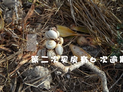 第二次买房有6次逾期 第二次买房有6次逾期