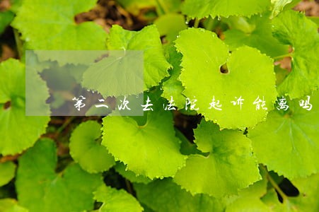 第二次去法院起诉能离吗 第二次去法院起诉能离吗