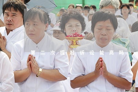 第二次提起诉讼能离吗
