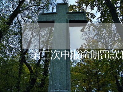 第二次申报逾期罚款怎么交 第二次申报逾期罚款怎么交