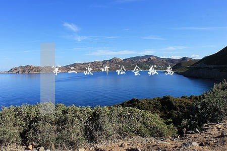 第二次诉讼会叛离 第二次诉讼会叛离