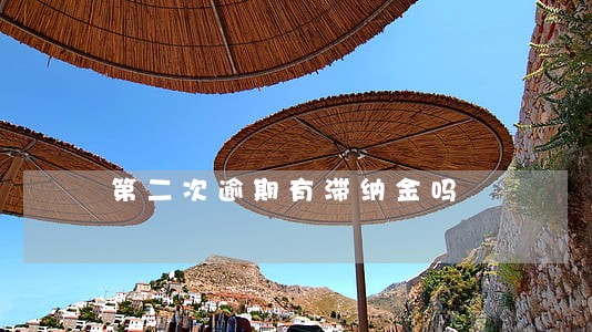 第二次逾期有滞纳金吗 第二次逾期有滞纳金吗