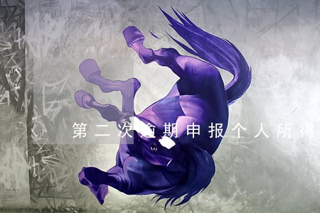第二次逾期申报个人所得税 第二次逾期申报个人所得税