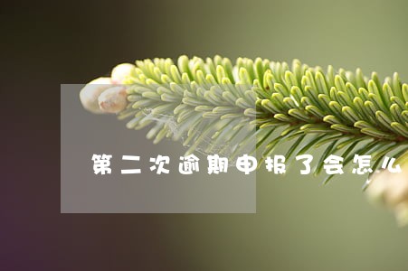 第二次逾期申报了会怎么样