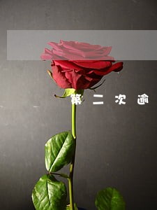 第二次逾期申报企业所得税