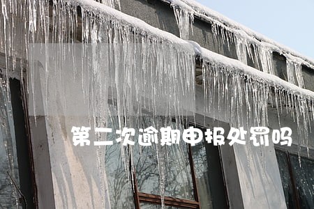 第二次逾期申报处罚吗 第二次逾期申报处罚吗