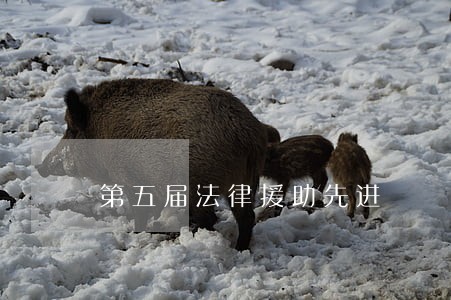 第五届法律援助先进 第五届法律援助先进
