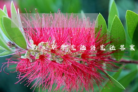 第五期学宪法讲宪法答案 第五期学宪法讲宪法答案