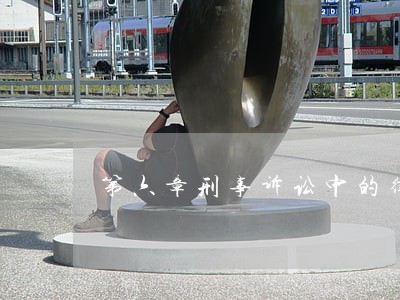第六章刑事诉讼中的律师辩护实务 第六章刑事诉讼中的律师辩护实务