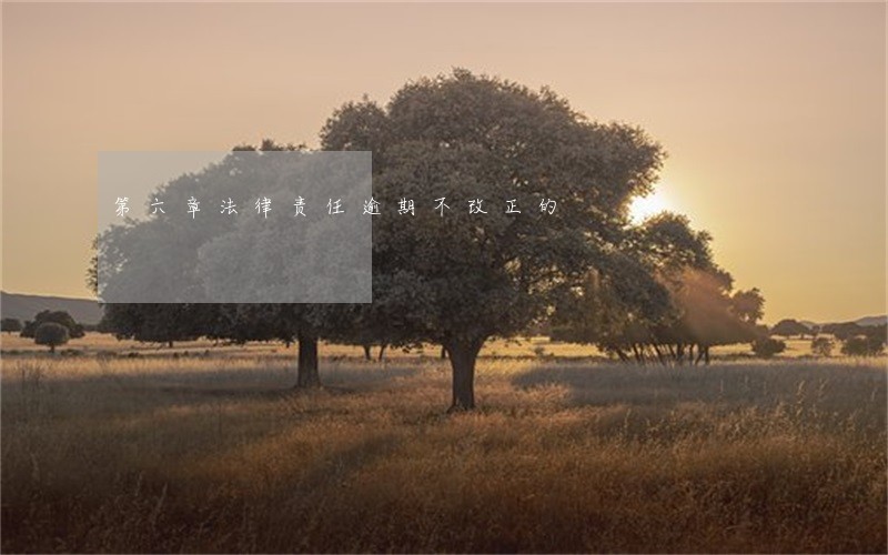 第六章法律责任逾期不改正的