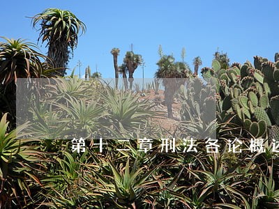 第十二章刑法各论概述 第十二章刑法各论概述