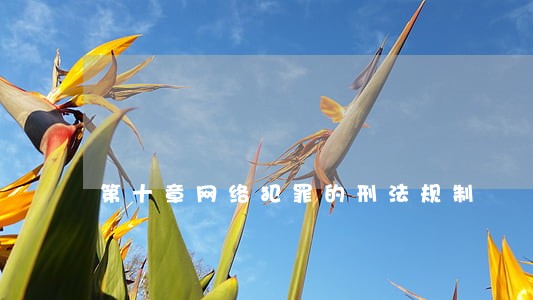 第十章网络犯罪的刑法规制 第十章网络犯罪的刑法规制