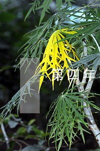 第四年年检逾期 第四年年检逾期