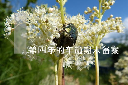 第四年的车逾期未备案 第四年的车逾期未备案