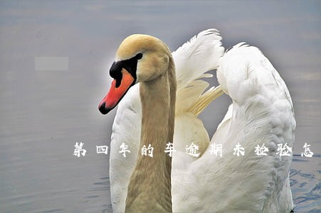 第四年的车逾期未检验怎么办 第四年的车逾期未检验怎么办