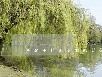 第四年的车逾期未领环保标 第四年的车逾期未领环保标