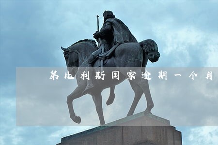 第比利斯国家逾期一个月怎么处理 第比利斯国家逾期一个月怎么处理