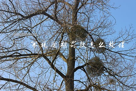 第税逾期罚款怎么处理 第税逾期罚款怎么处理