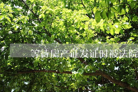 等待房产证发证时被法院查封