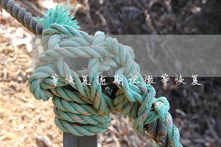 等恢复逾期视撤等恢复 等恢复逾期视撤等恢复