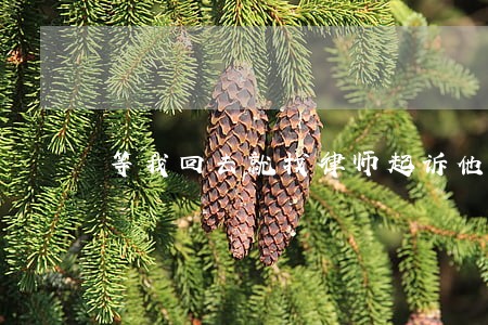等我回去就找律师起诉他们